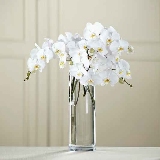 White Phalaenopsis Bouquet – AMELIA'S FLOWERS, Naples FL