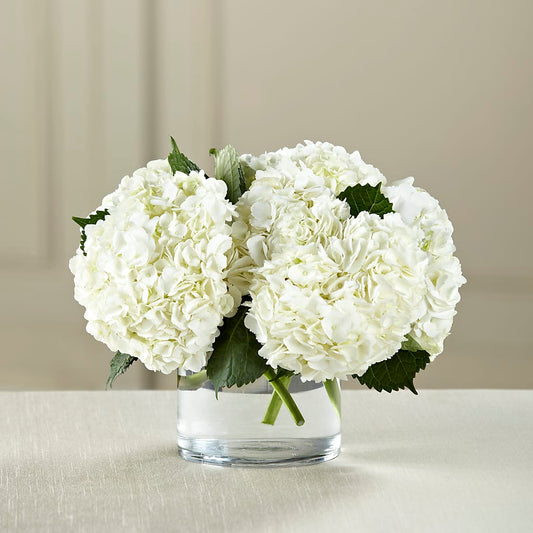 White Hydrangea Bouquet – AMELIA'S FLOWERS, Naples FL