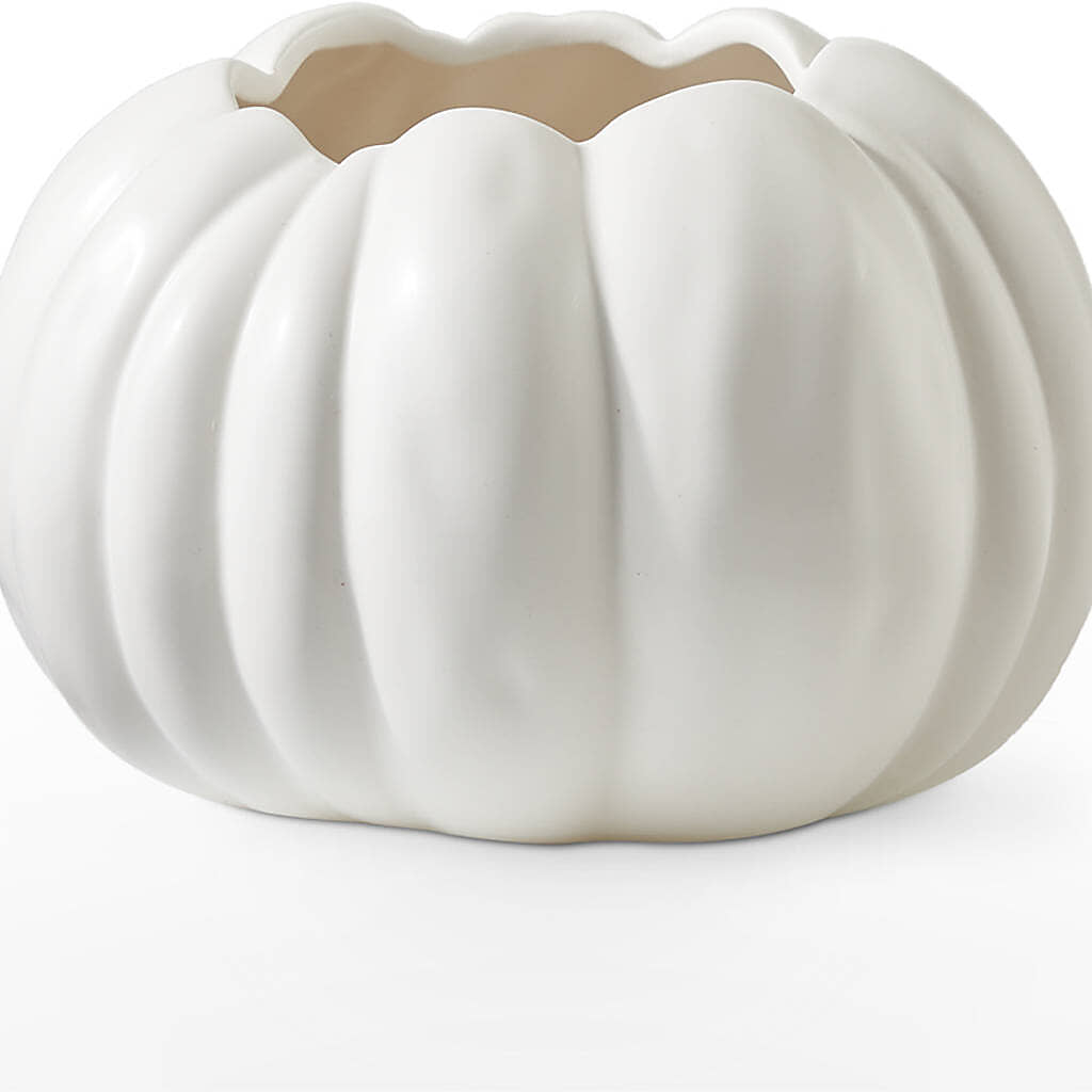Pumpkin to Talk About Bouquet – AMELIA'S FLOWERS, Naples FL
